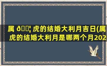 属 🐦 虎的结婚大利月吉日(属虎的结婚大利月是哪两个月2021)